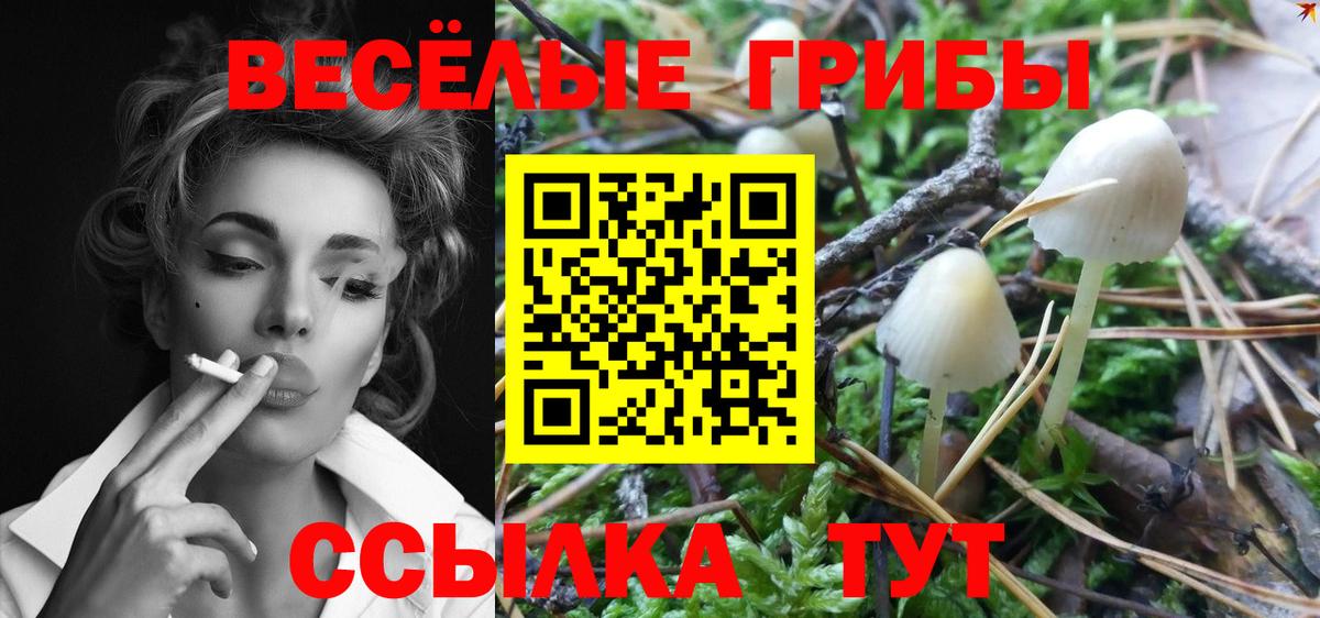 Галлюциногенные грибы Psilocybe  Вход с VPN  Галлюциногенные грибы Psilocybine cubensis  продажа наркотиков  Луга 